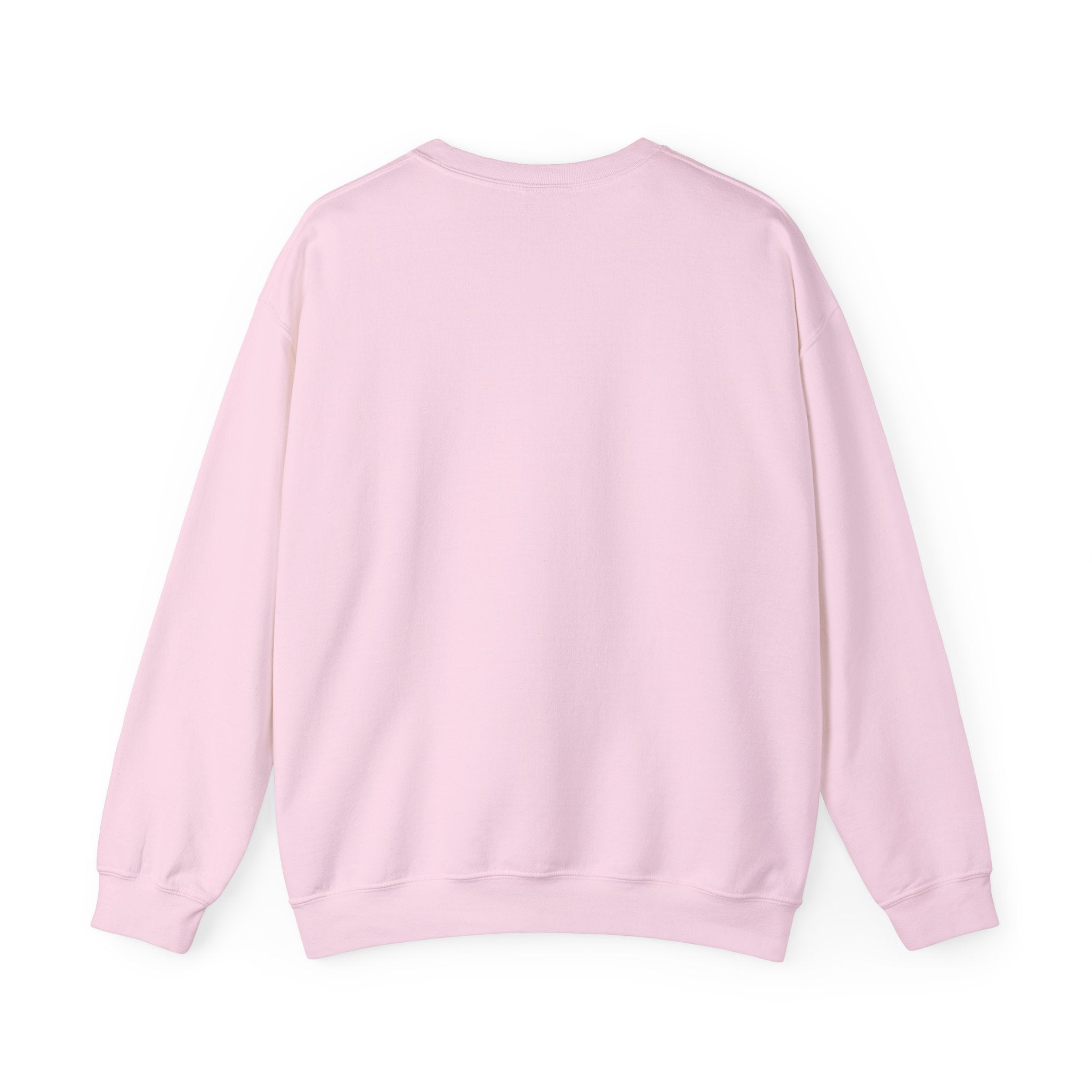 Unisex Delulu But Determined Sweatshirt — Funny Motivational Crewneck